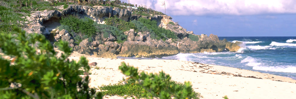 banner